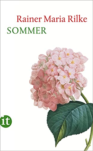 Sommer (insel taschenbuch)